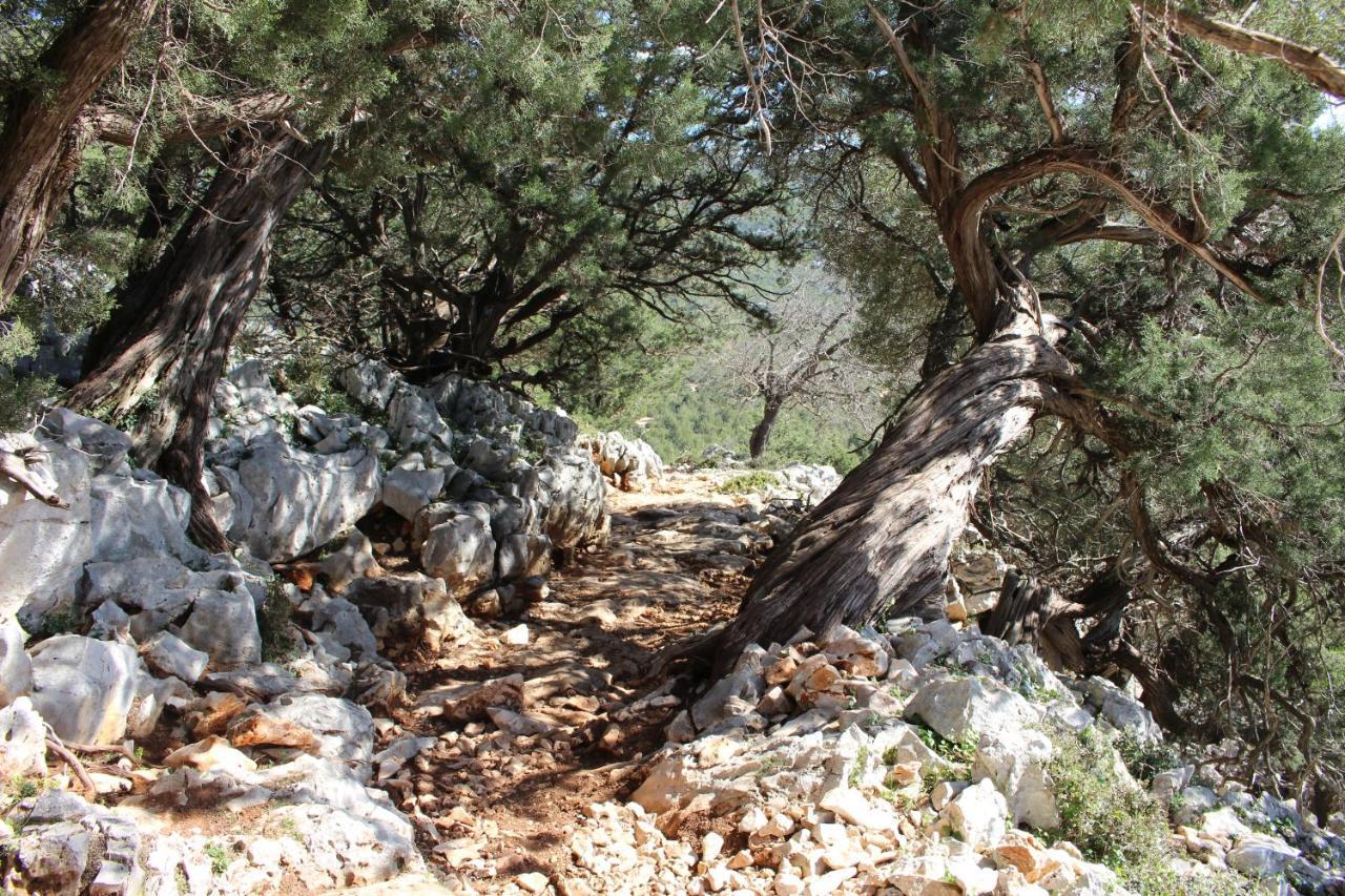 B&B Issicoro Baunei Kültér fotó
