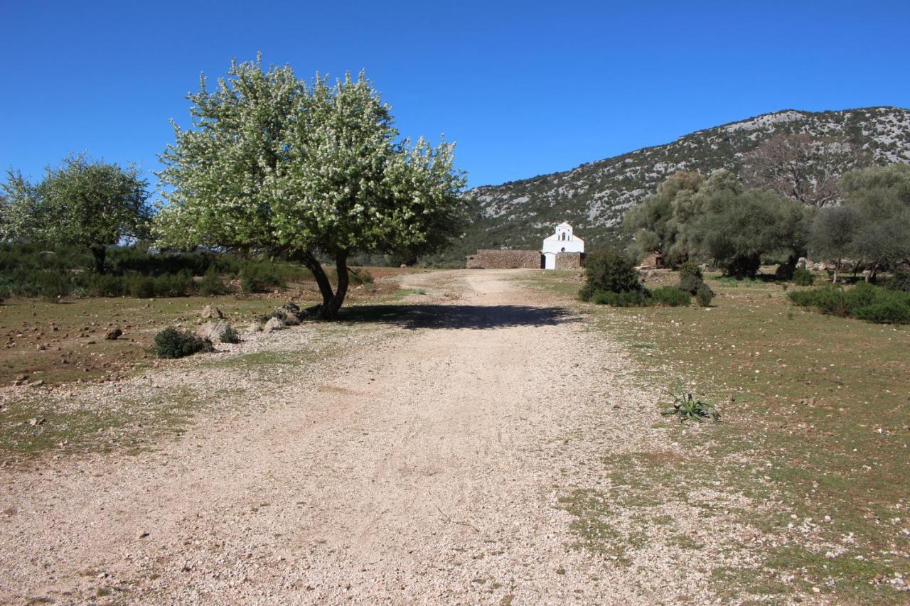 B&B Issicoro Baunei Kültér fotó